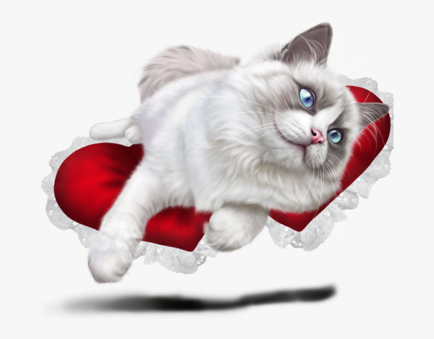 Ragdoll Cat Transparent Background, HD Png Download, Free Download