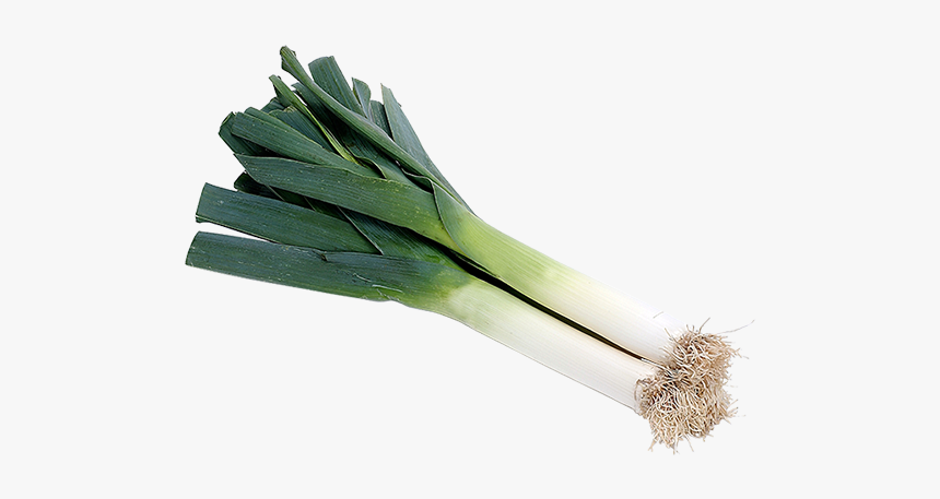 Chinese Green Onion, HD Png Download, Free Download