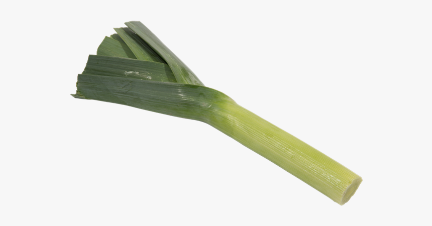 Leek, HD Png Download, Free Download