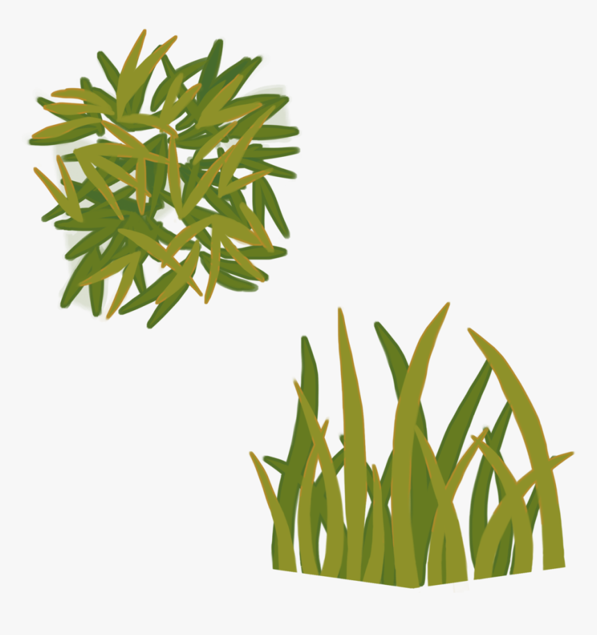 Grass Texture, HD Png Download, Free Download
