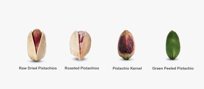Pistachio Trade - Common Fig, HD Png Download, Free Download