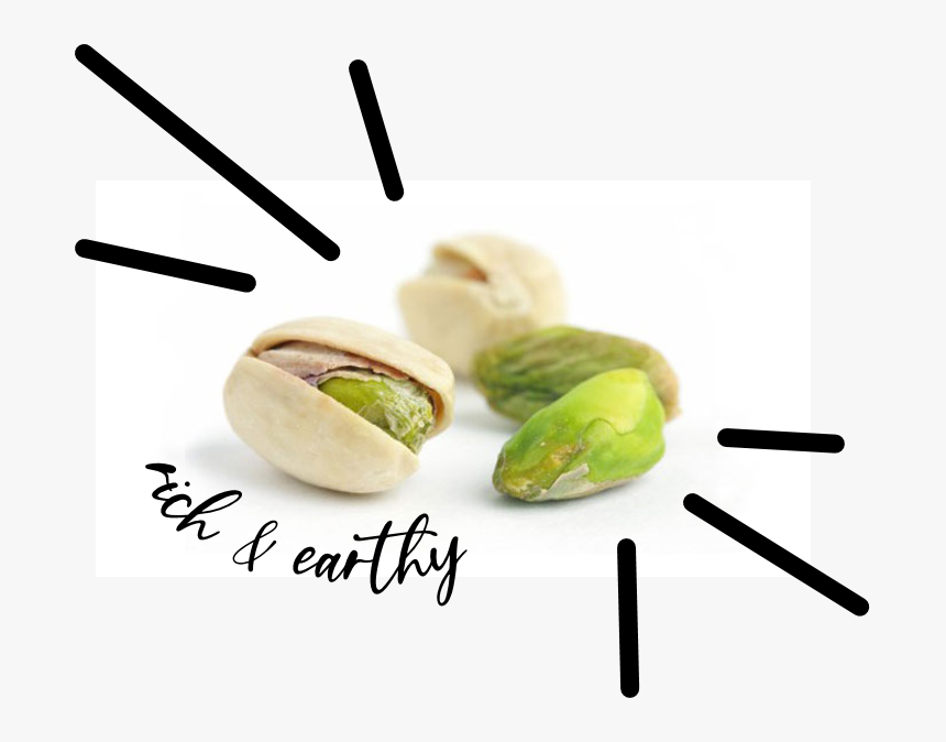 Pistachio Png, Transparent Png, Free Download