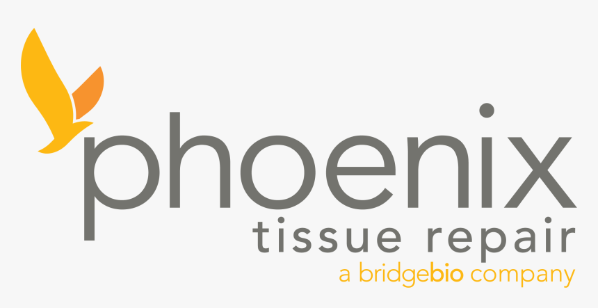 Phoenix Tissue Repair - Oval, HD Png Download, Free Download