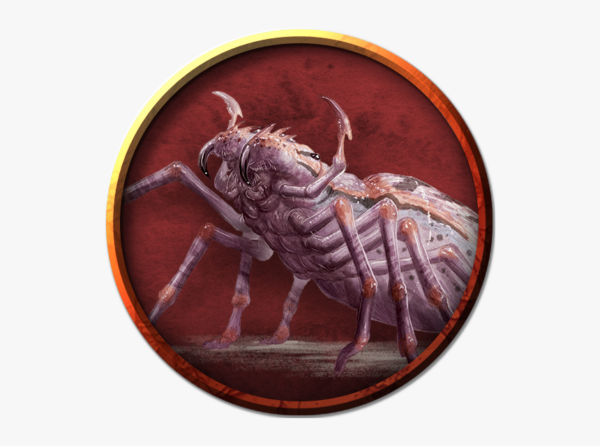 D&d Giant Spider Transparent, HD Png Download - kindpng.