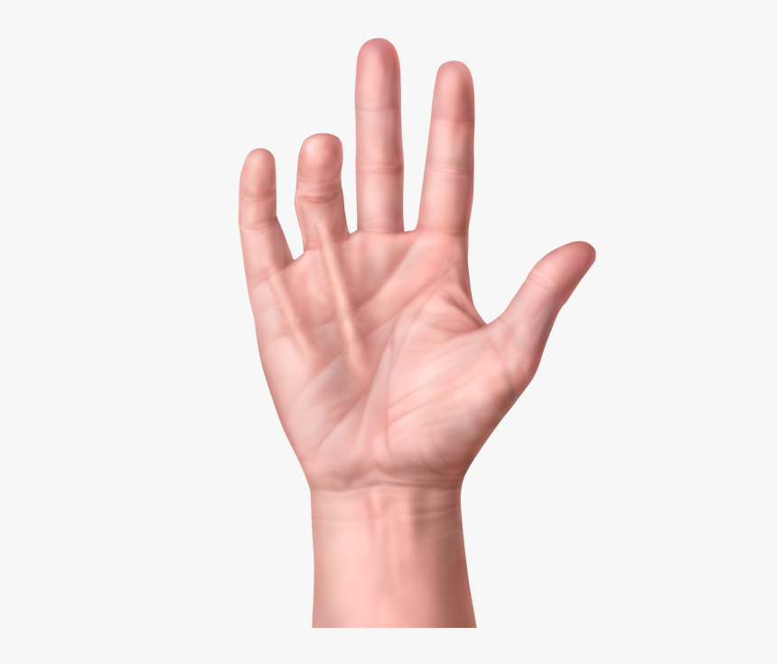 One Hand With Cords Extending Into Finger - John Elway Dupuytren's Contracture, HD Png Download, Free Download