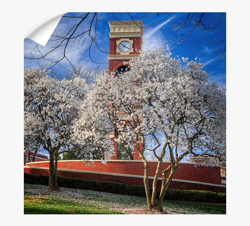 Etsu - Spring - Painting, HD Png Download, Free Download