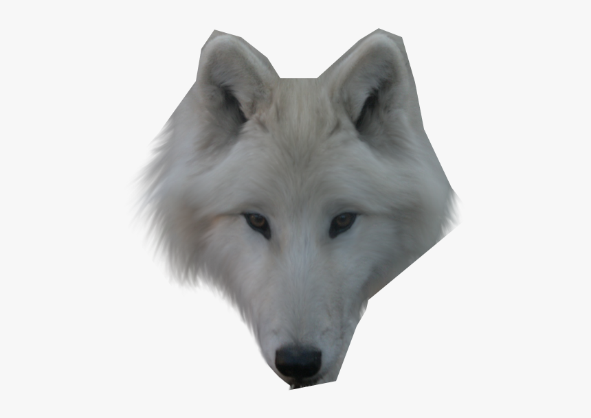 Thumb Image - Face Of A Wolf Transparent, HD Png Download, Free Download