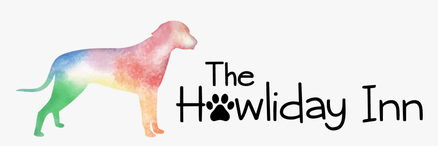 The Howliday Inn Dog Day Care, Pet Boarding, Dog Walking, - Dogo Argentino, HD Png Download, Free Download