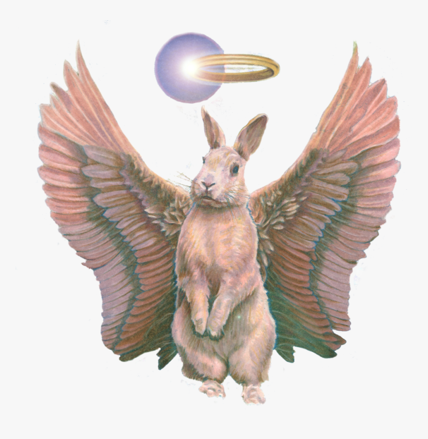 Dead Rabbits 72dpi Ron Chironna Transparent, HD Png Download, Free Download