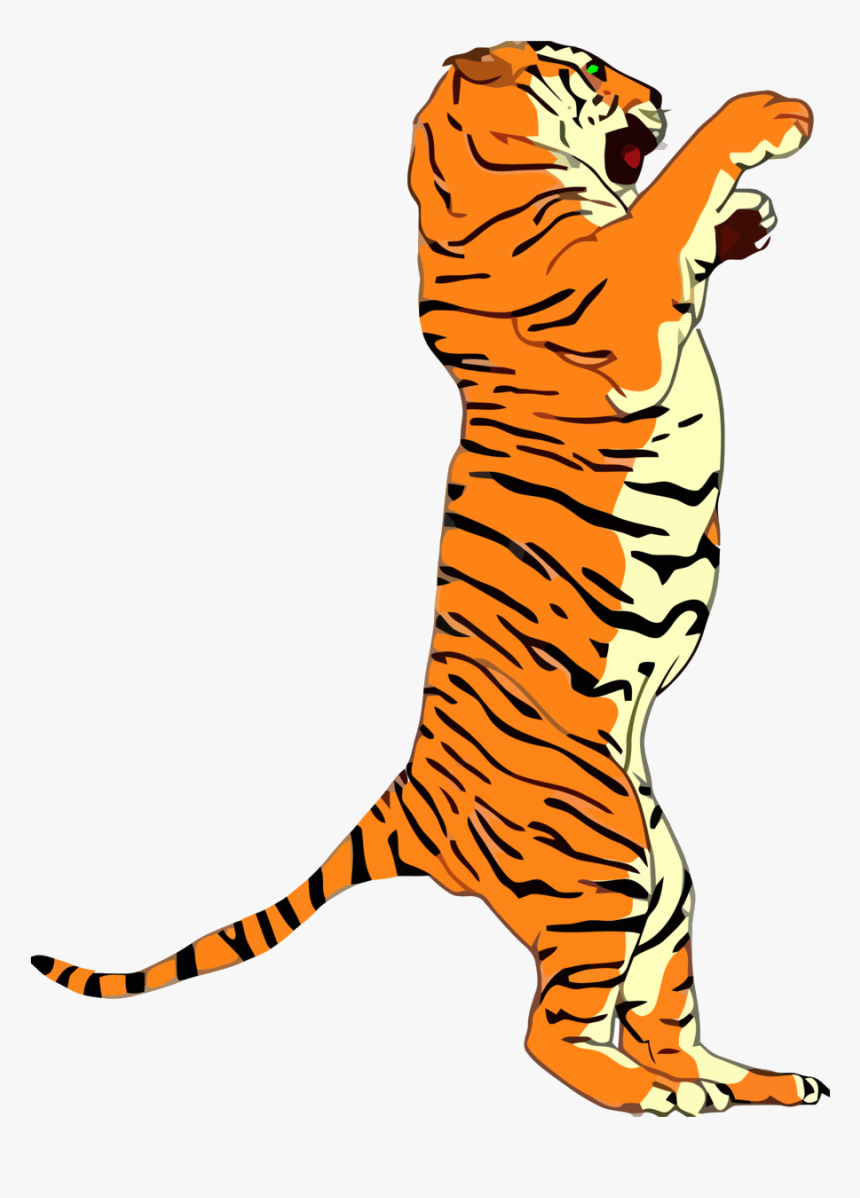 Animal Legs Tiger Cartoon Clipart Illustration Wildlife - Tiger Standing Clipart, HD Png Download, Free Download