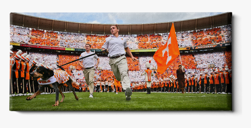 Smokey Running Thru The T Pano - Stadium, HD Png Download, Free Download