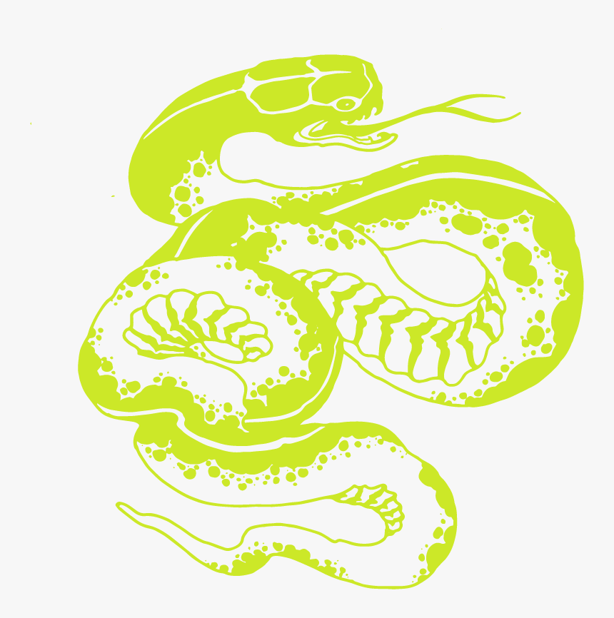 Python, HD Png Download, Free Download