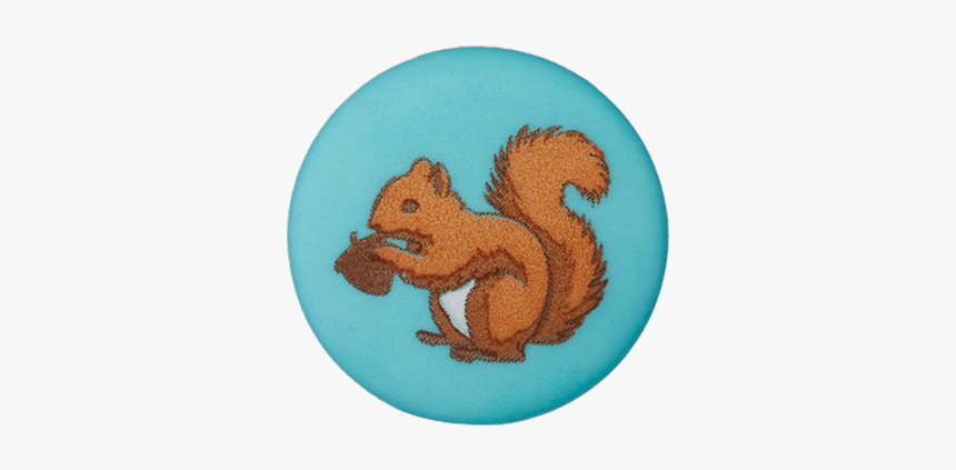 Button Shank Squirrel - Fox Squirrel, HD Png Download, Free Download
