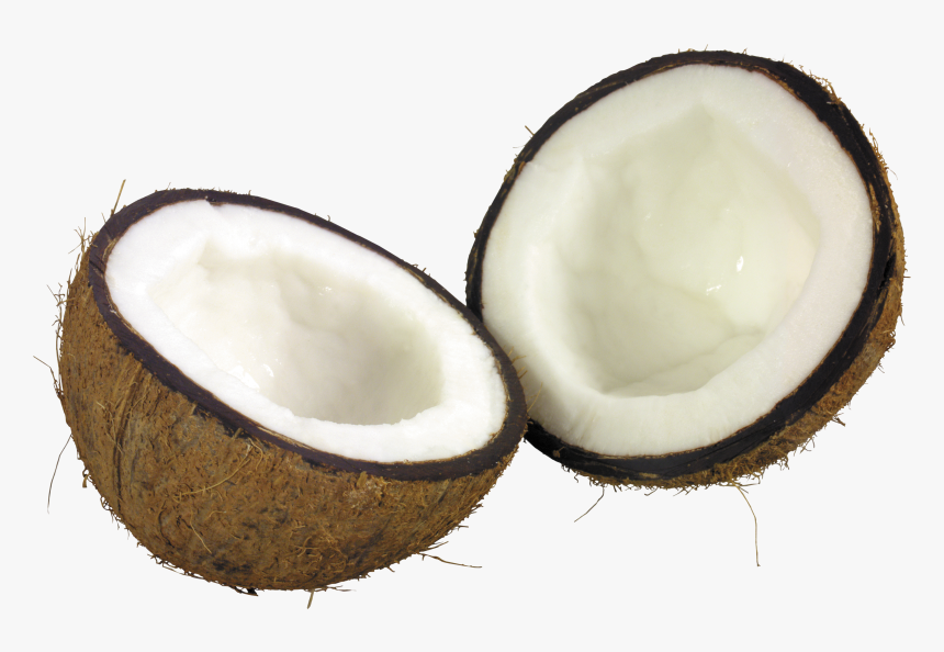 Coconut Png, Transparent Png, Free Download