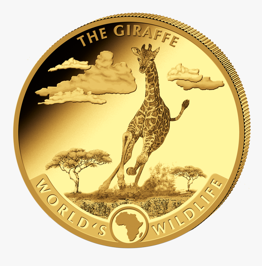 Itkon11912 1 - Congo Giraffe Coins 2019, HD Png Download, Free Download