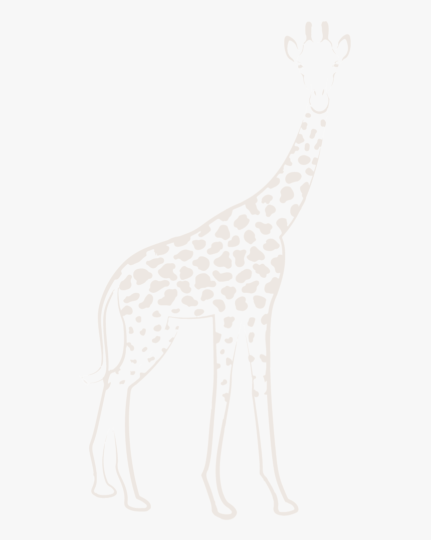 Giraffe, HD Png Download, Free Download