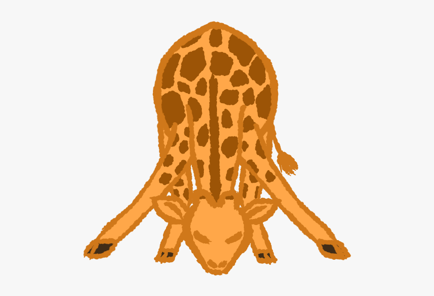 Giraffe, HD Png Download, Free Download