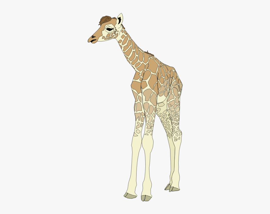Drawing Of Baby Giraffe - Giraffe Clip Art, HD Png Download, Free Download