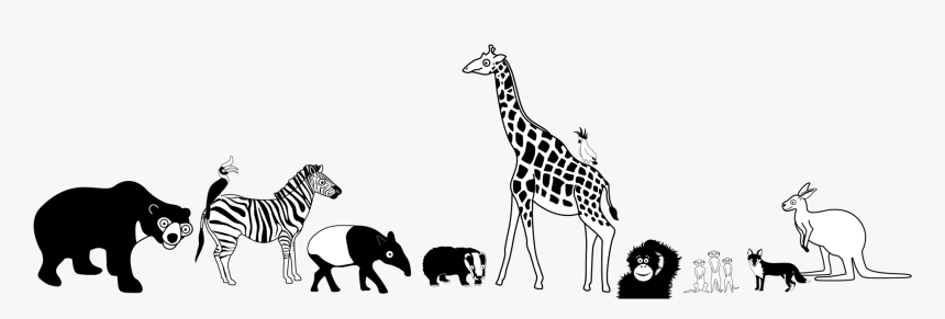 - Giraffe , Png Download - Giraffe, Transparent Png, Free Download