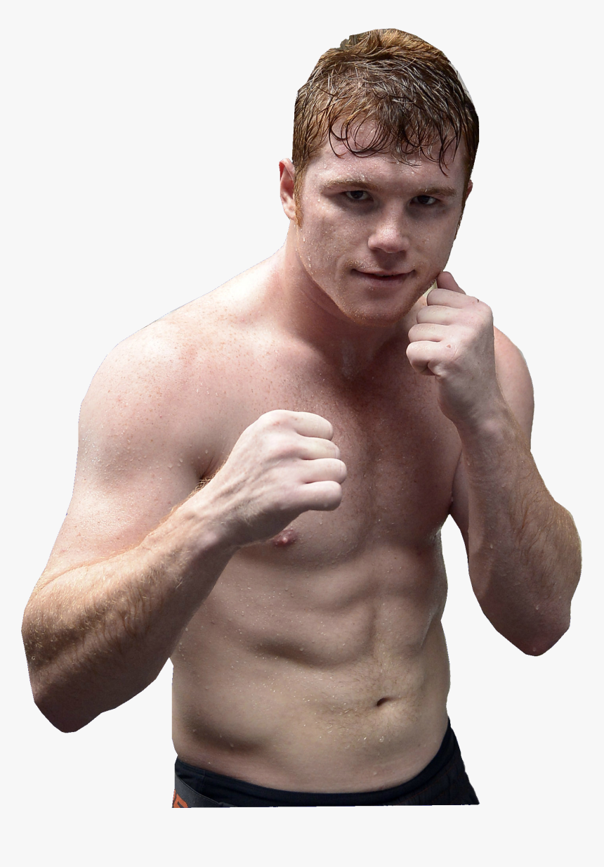 Сауль Альварес - Saul Alvarez - Saul Canelo Alvarez Steroids, HD Png Download, Free Download