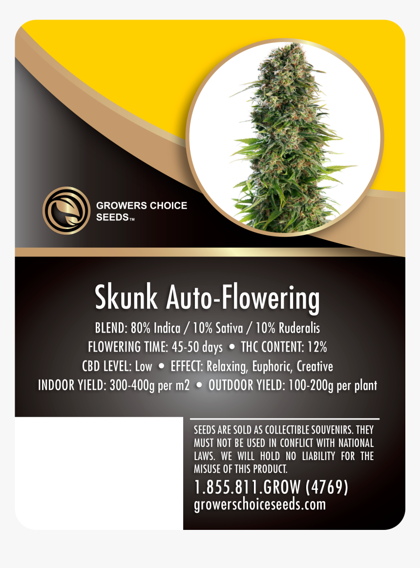 Autoflowering Cannabis, HD Png Download, Free Download