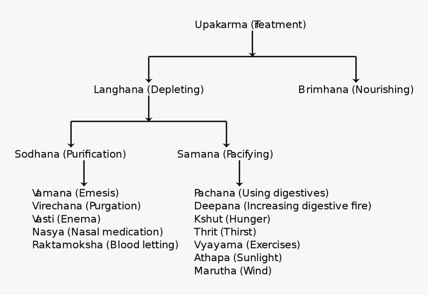 Classification Of Siddha Medicine, HD Png Download, Free Download