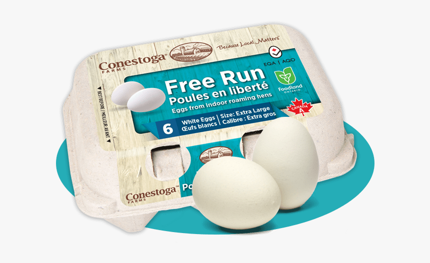 Free Run, From Indoor Roaming Hens - Dairy, HD Png Download, Free Download