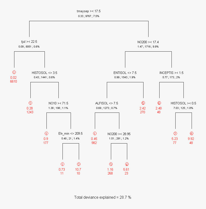 Tree Plan Png Black And White, Transparent Png, Free Download