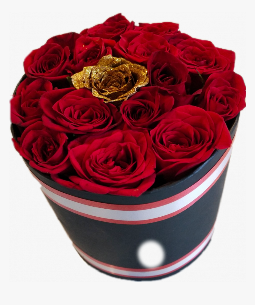 Valentine Day - Garden Roses, HD Png Download, Free Download