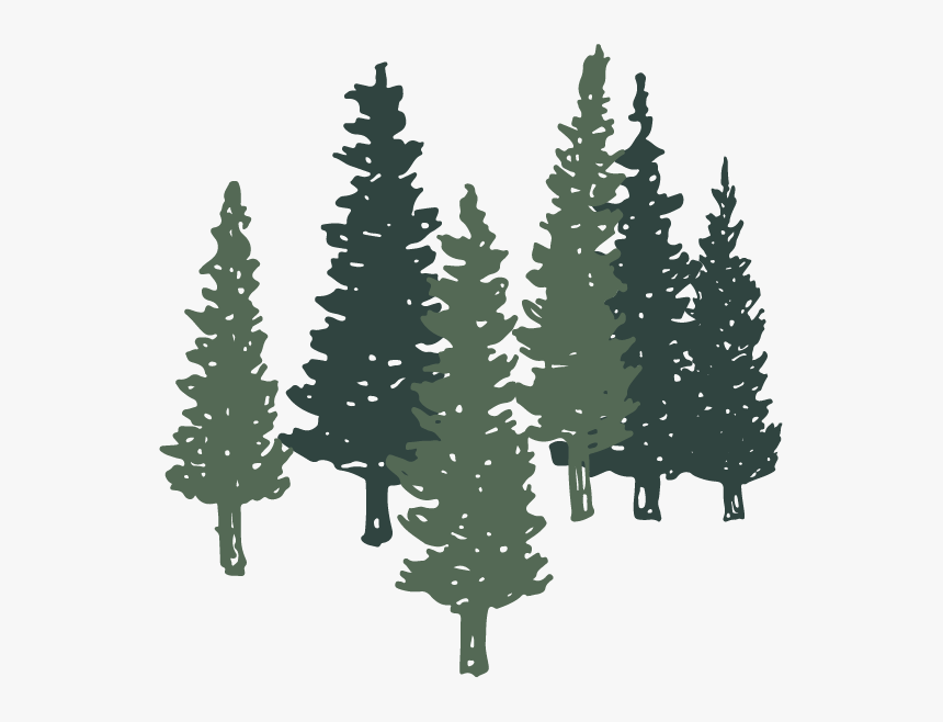 Trees - Christmas Tree, HD Png Download, Free Download