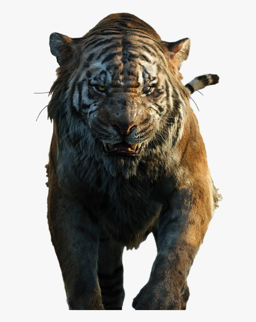 #freetoedit #tigar #chircan #angry @taylor Fotoshop - Jungle Book Shere Khan, HD Png Download, Free Download