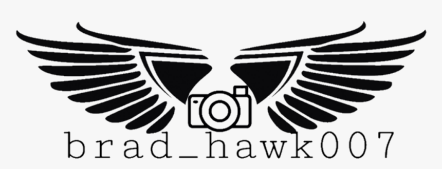 Eagle Logo Png Hd, Transparent Png, Free Download