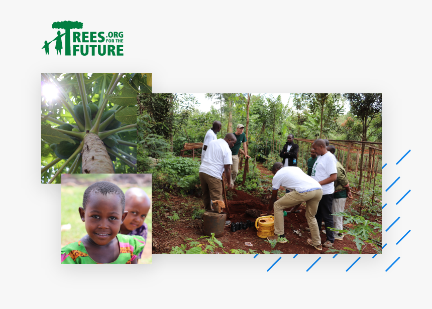 Trees For The Future, HD Png Download, Free Download