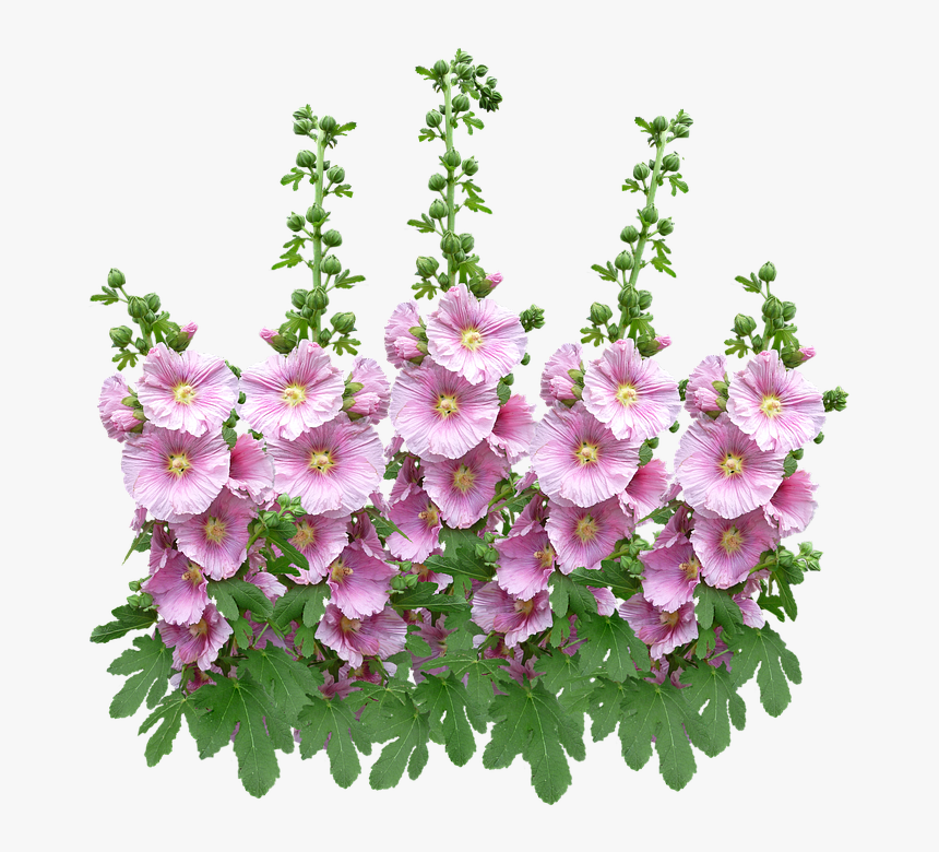 Artificial Flower, HD Png Download, Free Download