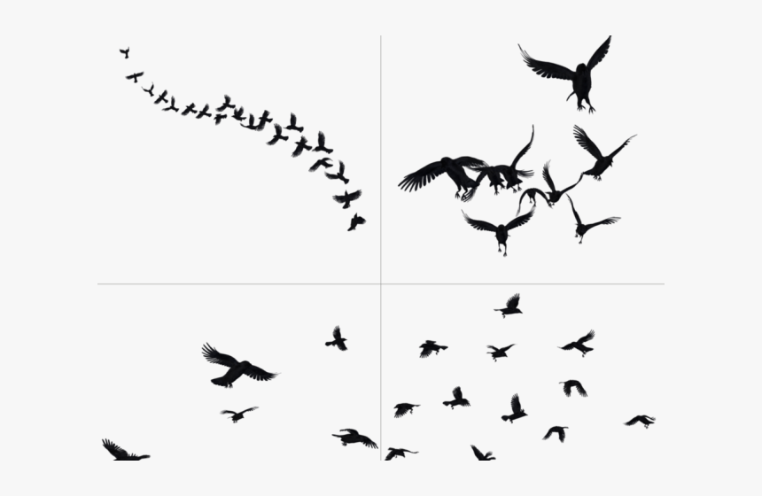 Flying Crow Png - Crow Flying Tattoo Drawings, Transparent Png, Free Download