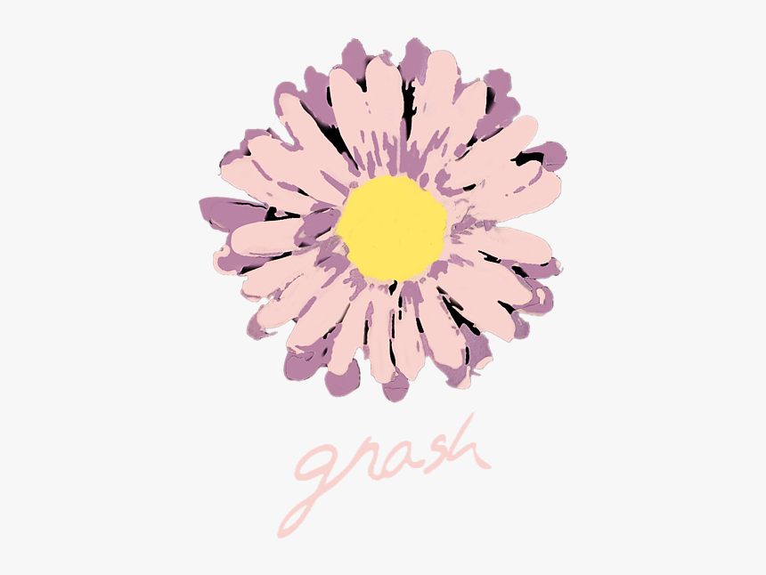 Gnash, HD Png Download, Free Download