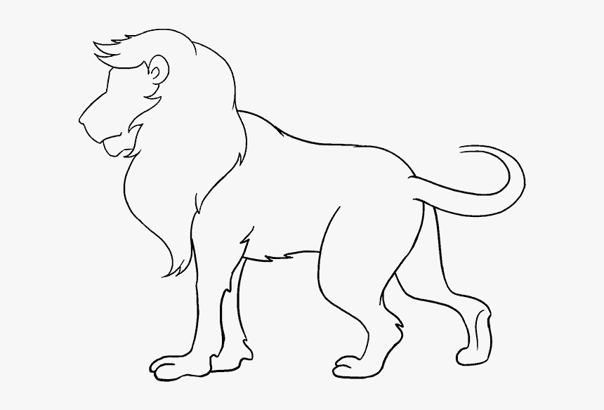 Transparent Lion Drawing Png - Simple Drawing Of Lion, Png Download, Free Download