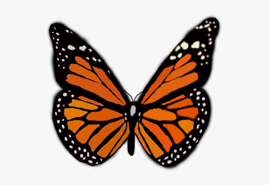 Cartoon Blue Butterfly Png, Transparent Png - kindpng Cartoon Blue Butterfly Png, Transparent Png - kindpng