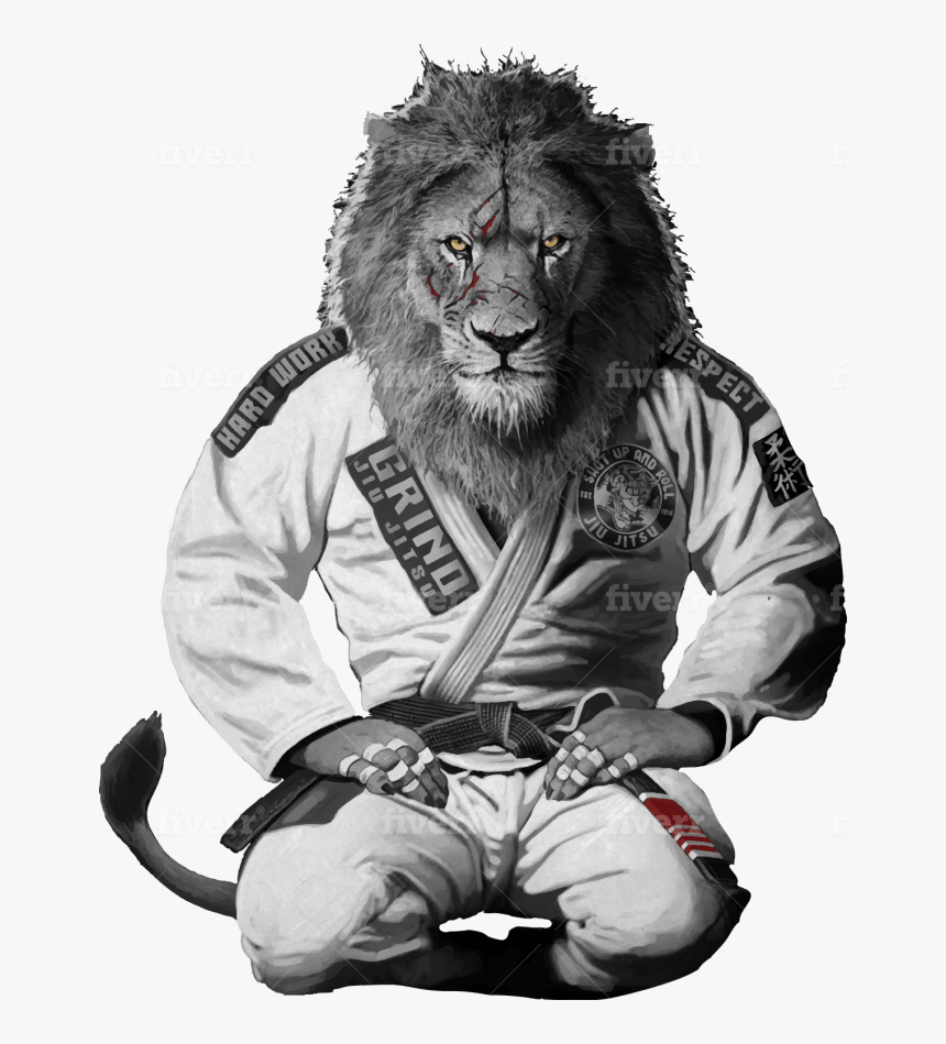 Jiu Jitsu Wallpaper Hd, HD Png Download, Free Download