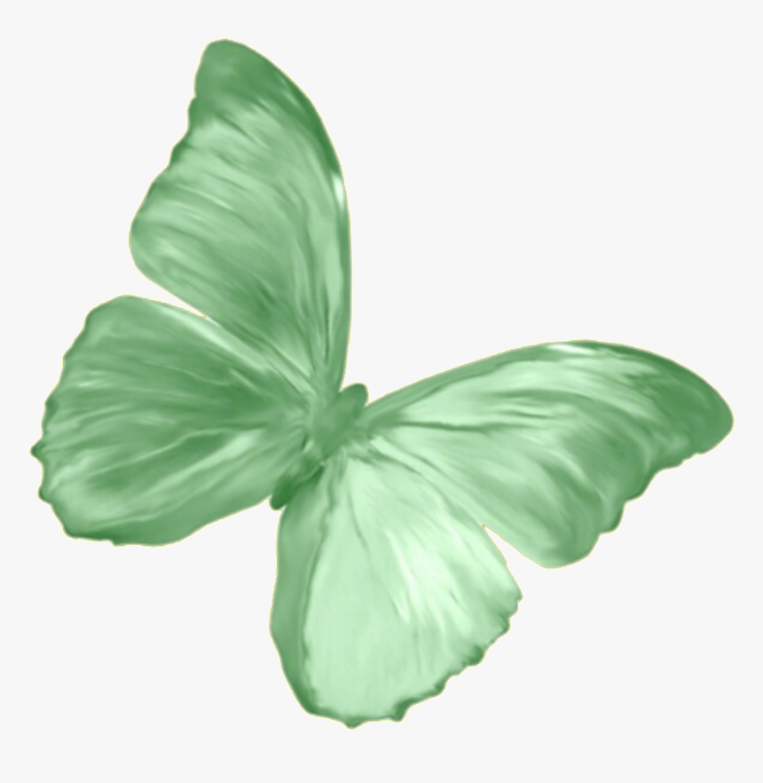 #sticker #png #butterfly #green #overlay #freetoedit - Rose Gold Butterfly Png, Transparent Png, Free Download