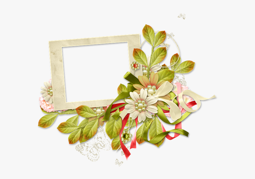 Transparent Spring Summer - Picture Frame, HD Png Download, Free Download