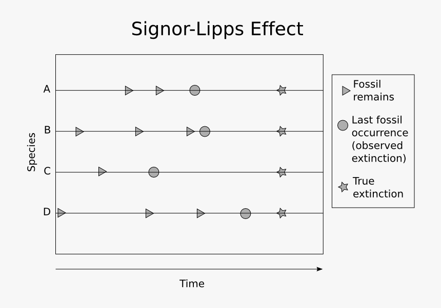 File - Signor-lipps - Signor Lipps Effect, HD Png Download, Free Download