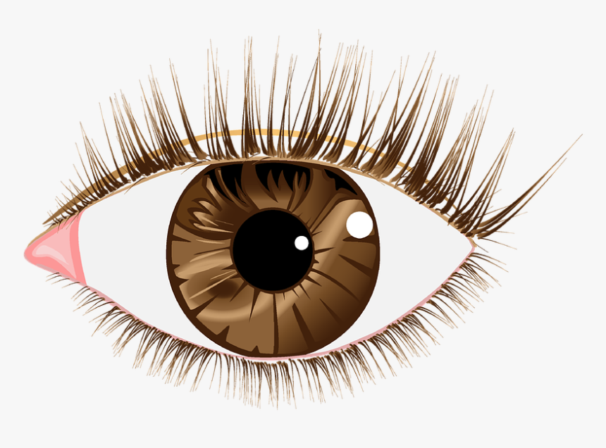 Brown Eyes Png - Brown Eyes Png Transparent, Png Download, Free Download