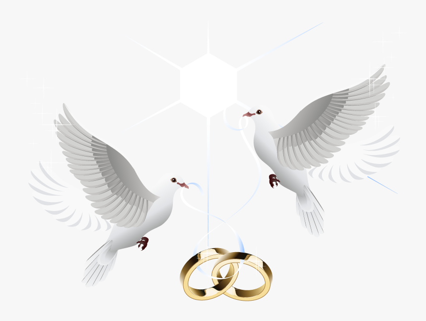 Ring Vector Marriage Wedding Download Hd Png Clipart - Transparent Wedding Dove Png, Png Download, Free Download