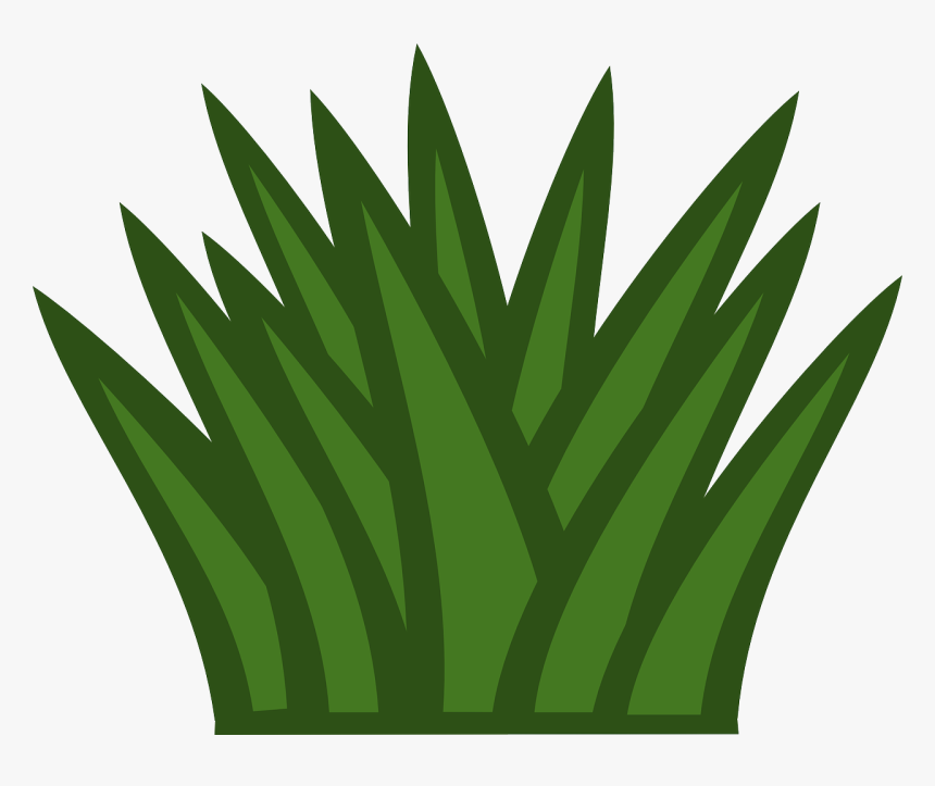 Bush Clipart Png, Transparent Png, Free Download