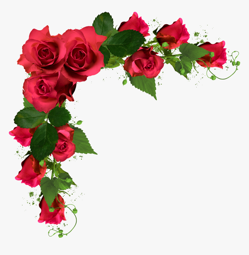 My Image 17