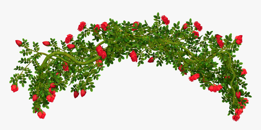 Flower Bush Png - Rose Bush Transparent Background, Png Download, Free Download