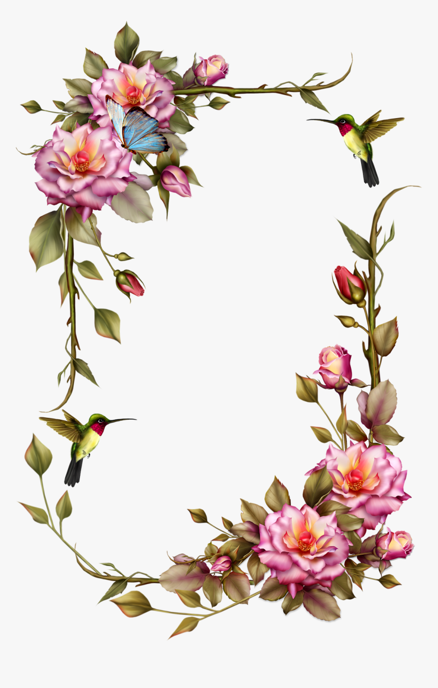 Transparent Rose Vine Png - Transparent Rose Frame Png, Png Download, Free Download