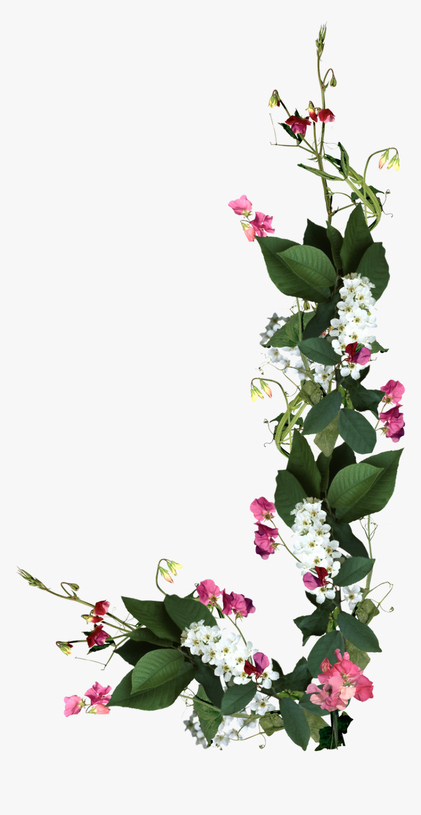 Marcos Para Fotos De Flores - Ramo De Flores Png, Transparent Png, Free Download