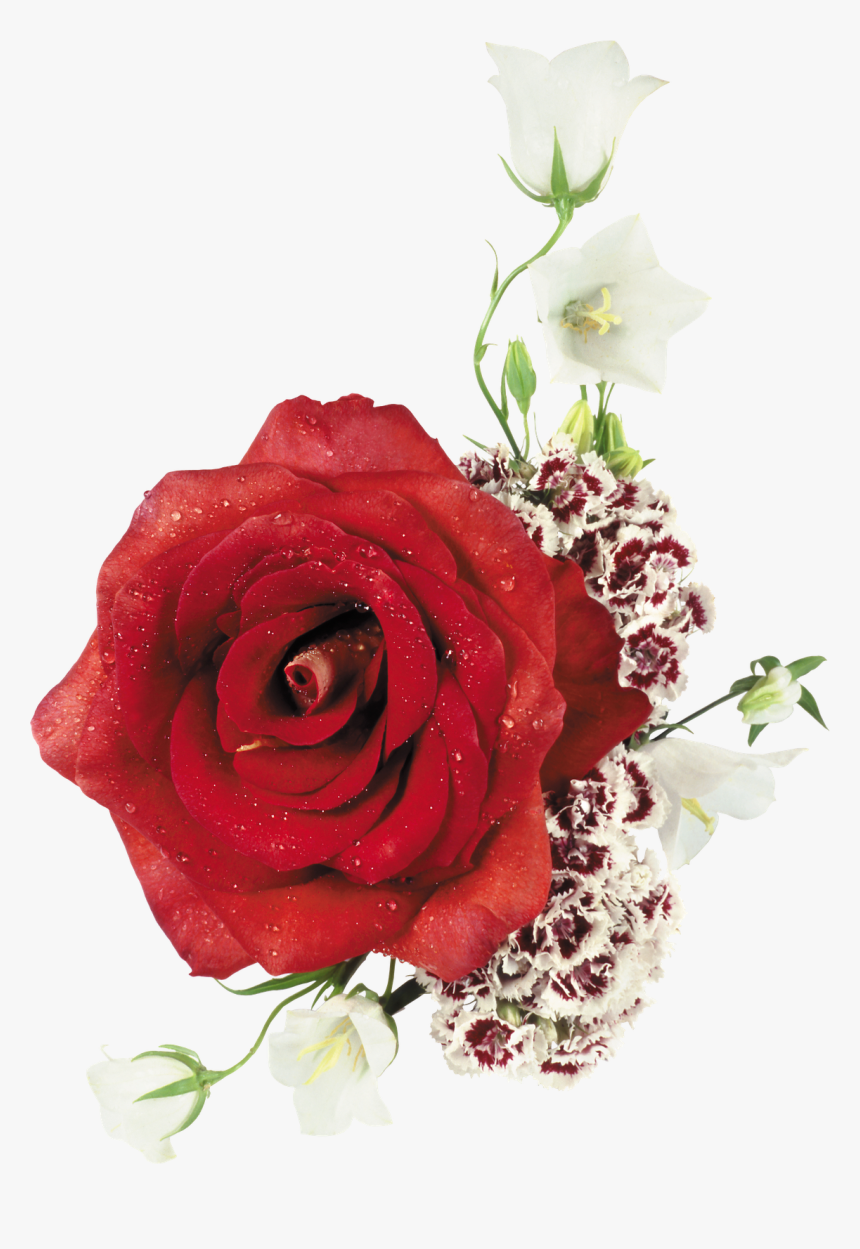 Ramos De Rosas En Png - Floribunda, Transparent Png, Free Download